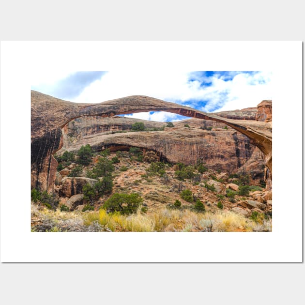 Oh so Delicate, Landscape Arch, Arches National Park, Utah Wall Art by BrianPShaw